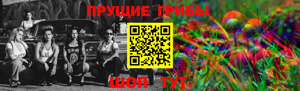 Галлюциногенные грибы MAGIC MUSHROOMS  Галлюциногенные грибы мицелий  Чита  Вход с VPN 